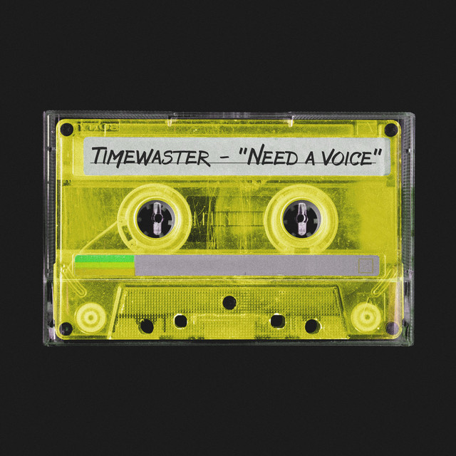 Обкладинка: Need a Voice — Timewaster