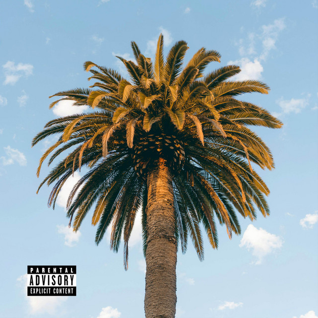 M's cover art
