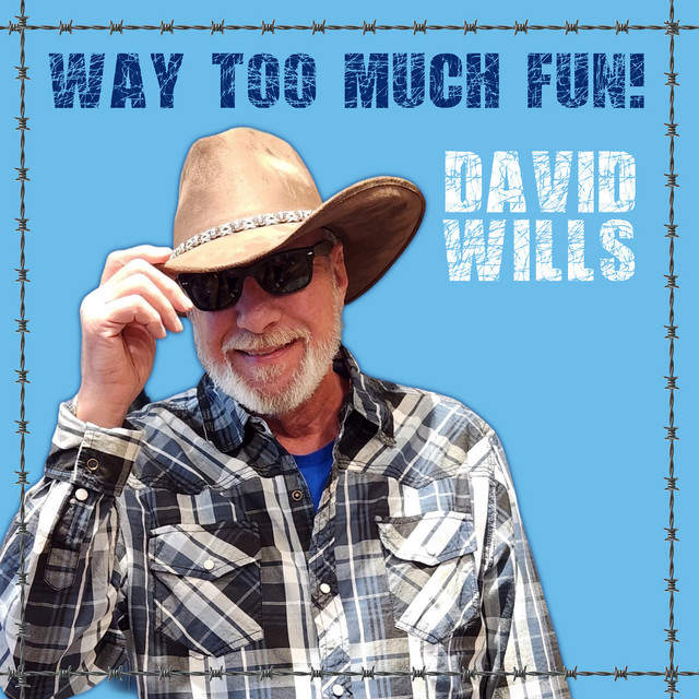 Way Too Much Fun! cover art