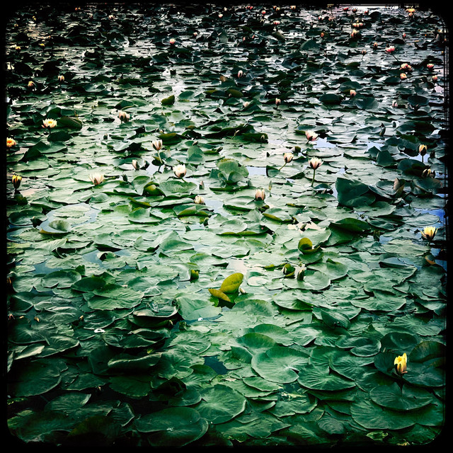 Multiverse - Single by George Earth | Spotify