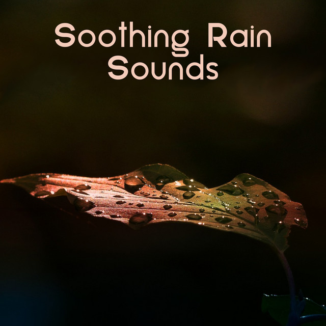 Soothing Rain Sounds cover art