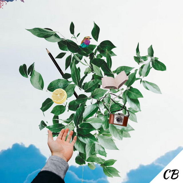 Forward cover art
