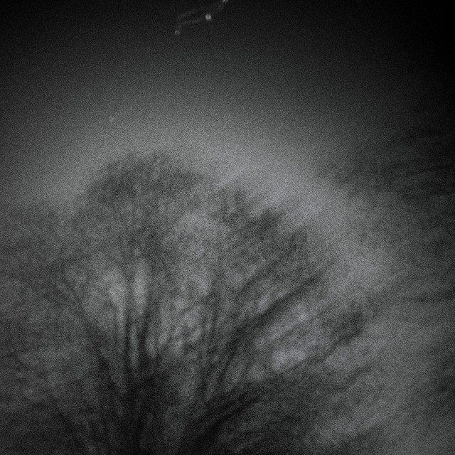 SOLACE. cover art
