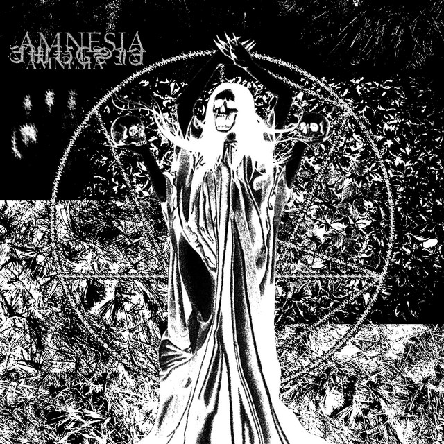 Amnesia cover art