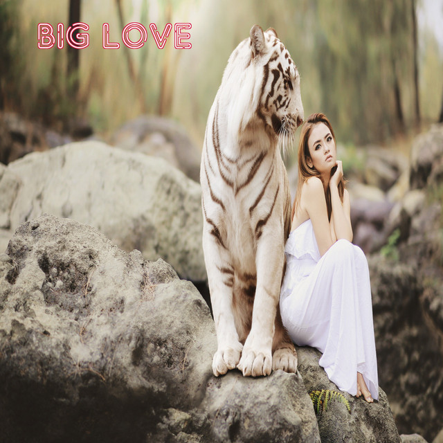 Big Love cover art