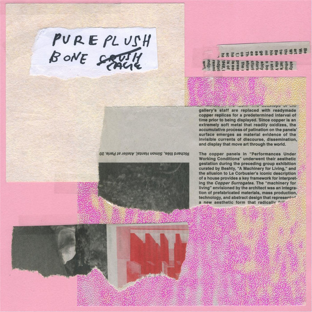 Pure Plush Bone Cage cover art