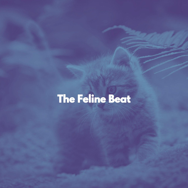 The Feline Beat cover art