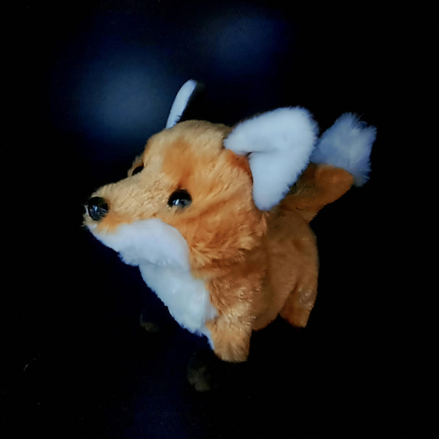 Foxheart cover art