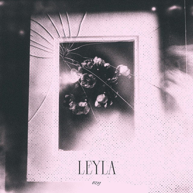 Leyla cover art