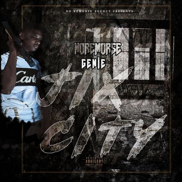 Young Niggas cover art