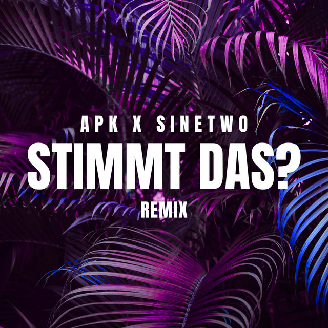 Stimmt das? (Remix)