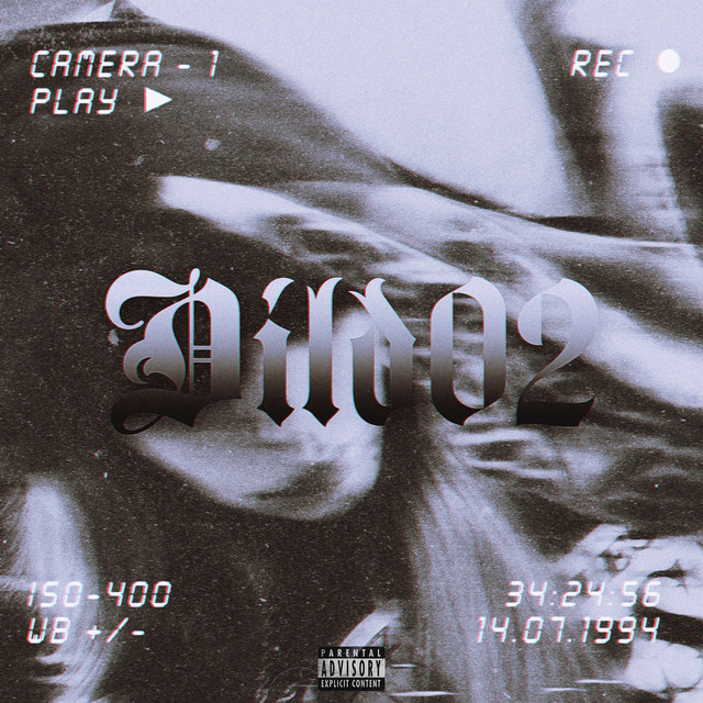 Dild02 cover art