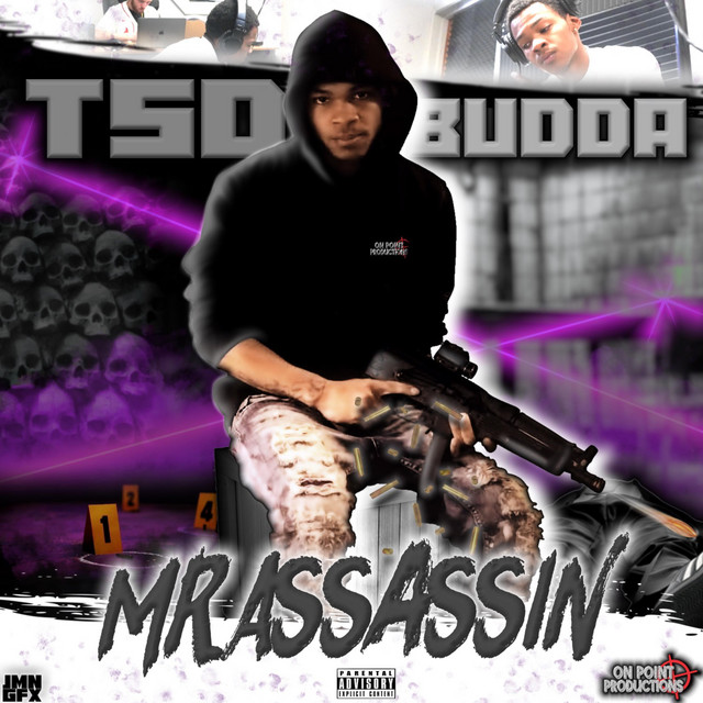 Mr Assassin cover art
