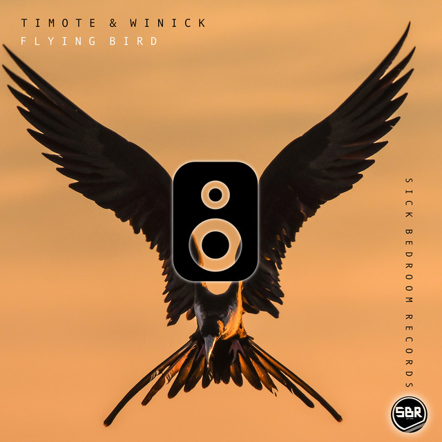 Flying Bird cover