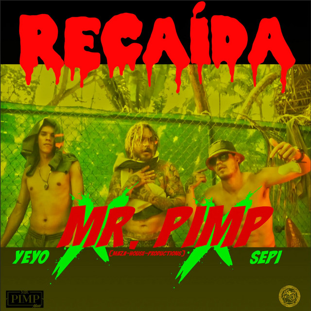 Recaída cover
