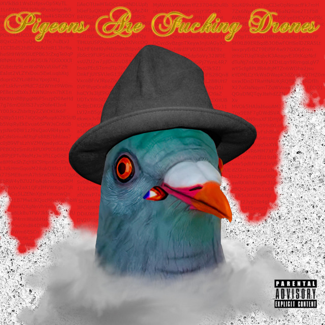 Pigeons Are Fucking Drones cover art