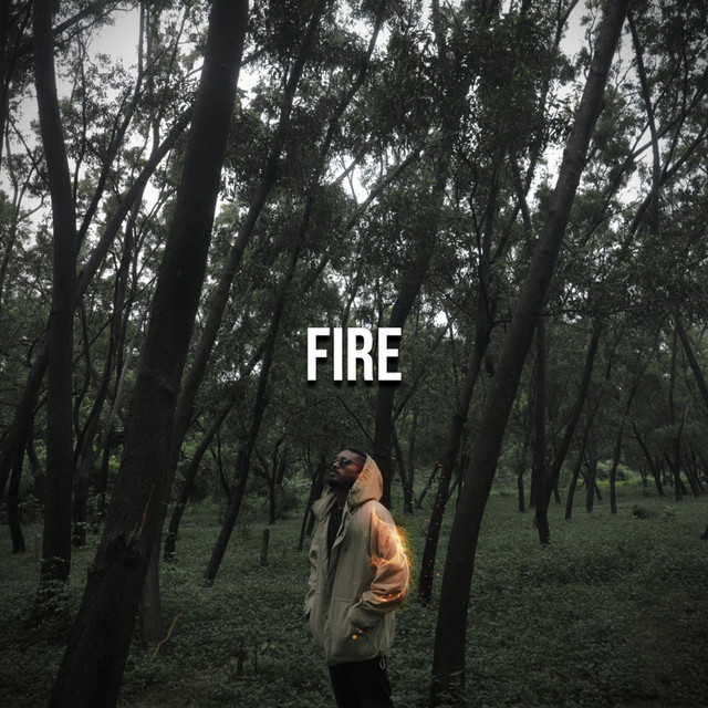 Fire cover art
