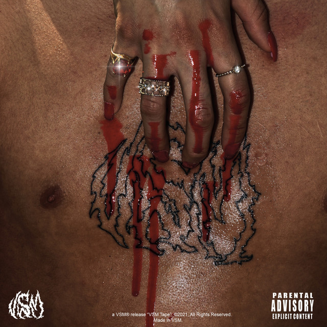 Vsm Tape cover art
