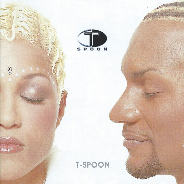 T-Spoon cover art
