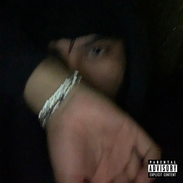 Fly! cover art