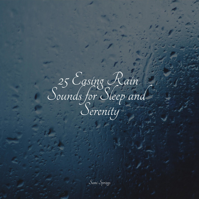 25 Easing Rain Sounds for Sleep and Serenity - Album by Música de la ...