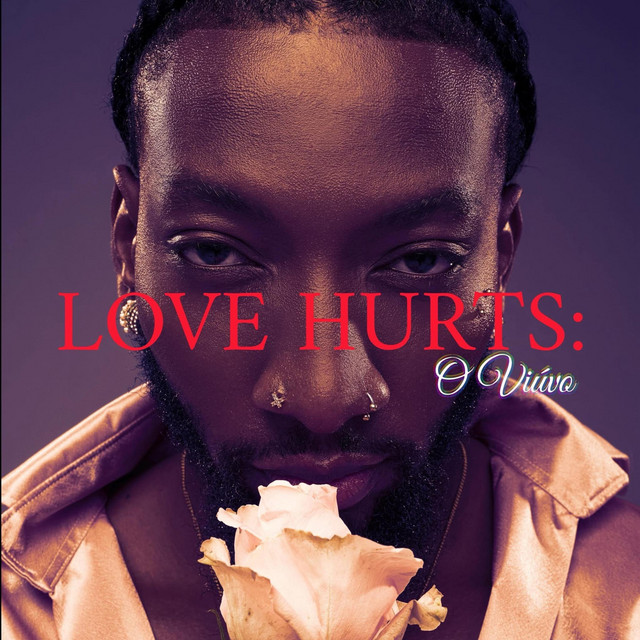 Love Hurts: O viúvo cover art