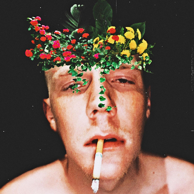 Once Bitten, Twice Rotten, Pt. 2 cover art