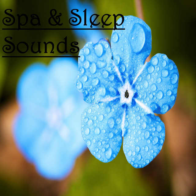 12 Asian Zen, Spa & Sleep Tracks - Album by Sleep Sounds of Nature ...
