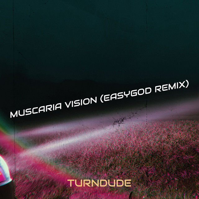 Cover art: Muscaria Vision - EasyGod Remix — turndude