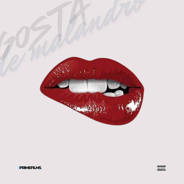 Gosta de Malandro