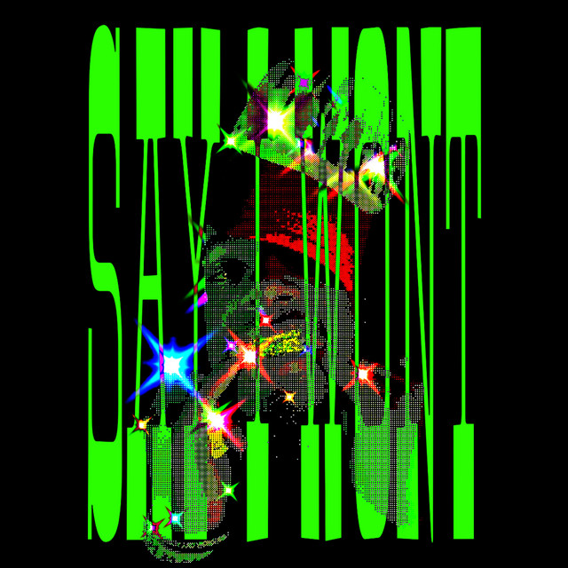 SAY I WONT cover art