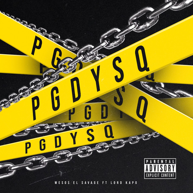 PGDYSQ