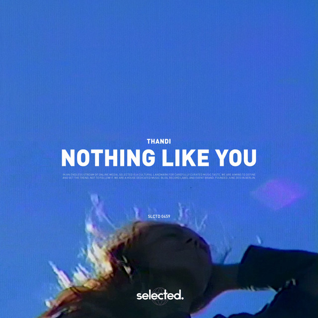 Nothing Like You album image