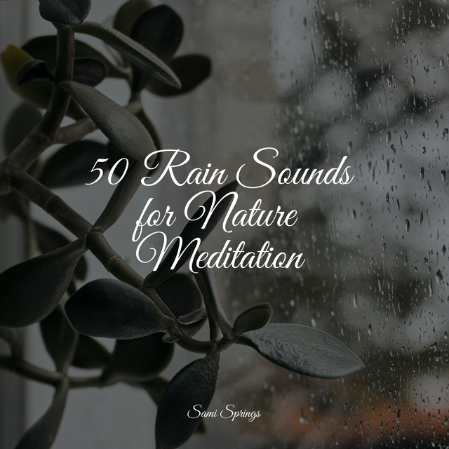 50 Rain Sounds for Nature Meditation - Album by Sol y Lluvia | Spotify