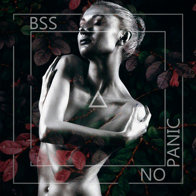 No Panic cover art