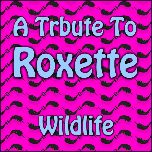 A Tribute To Roxette cover art