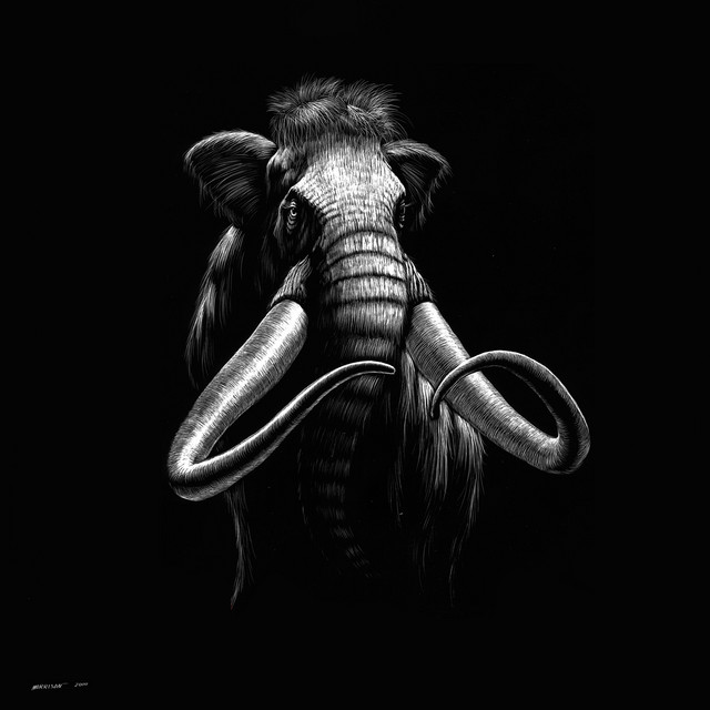 Mammoth cover art