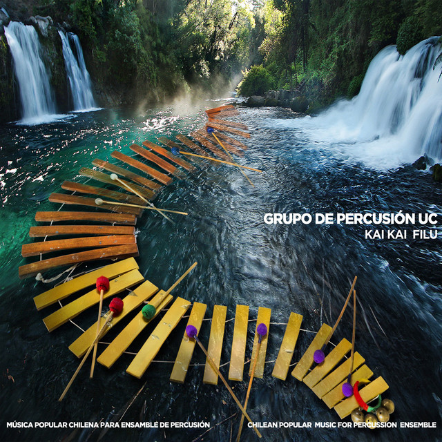 Grupo de Percusión U.C.