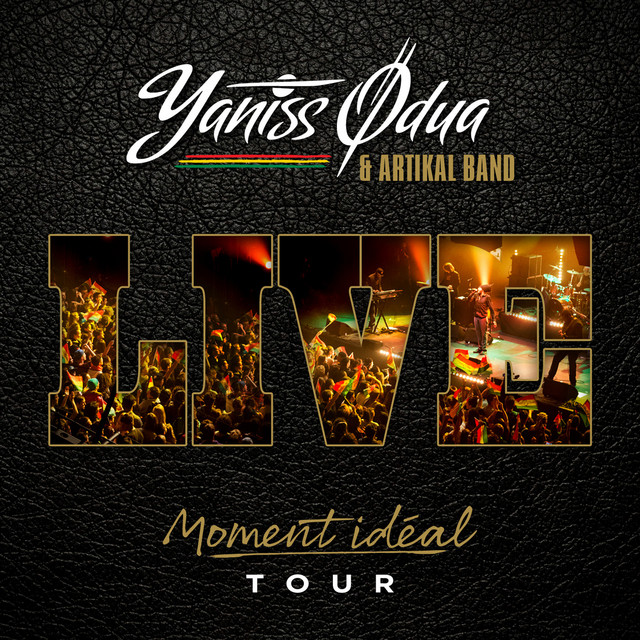 Moment idéal Tour (Live) cover art