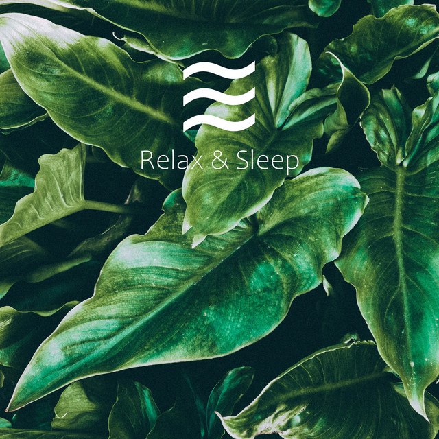 Baby Soft Sleep Sough for Relief and Calm