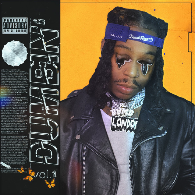 Dumbin', vol.1 cover art