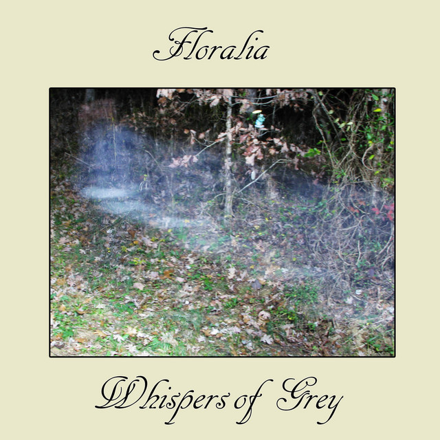 Whispers of Grey cover art