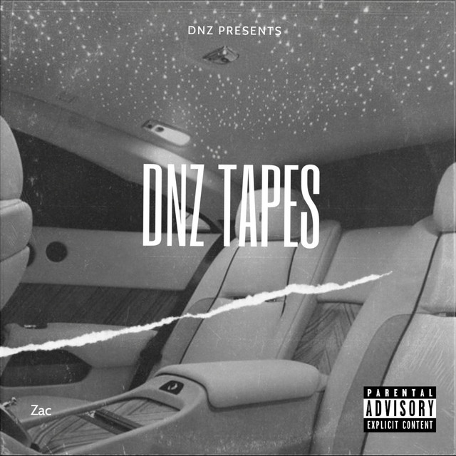 The DNZ Tapes cover art