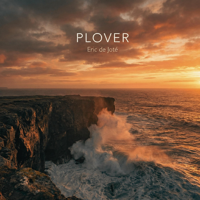 Plover cover art