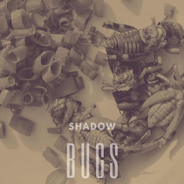 Bugs cover art
