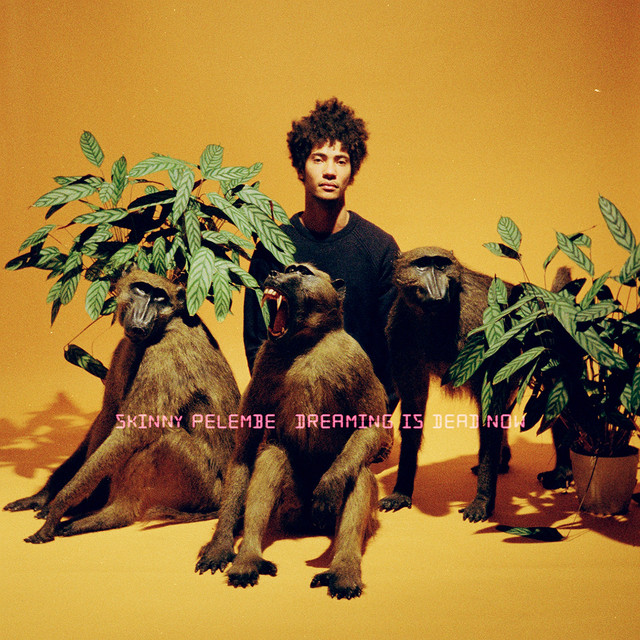 Cover du titre Dreaming Is Dead Now