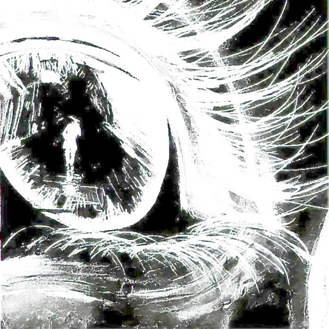 Toasted cover art