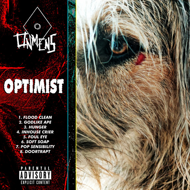 Optimist cover