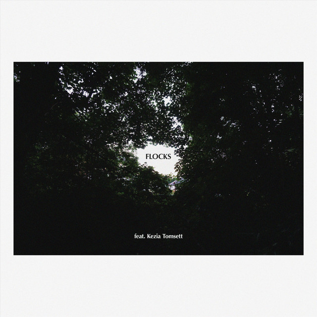 Flocks cover art