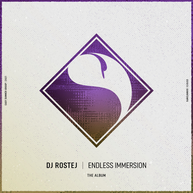 Endless Immersion cover art